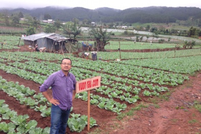 Kỹ sư IT thành công nhờ việc...bán rau sạch